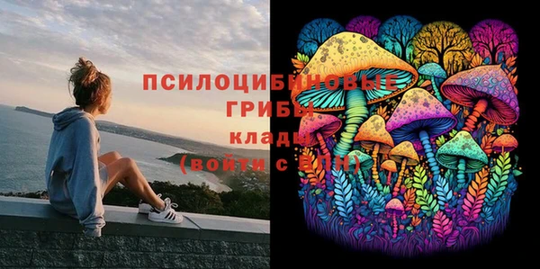 трава Алзамай