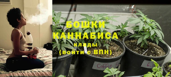 трава Алзамай